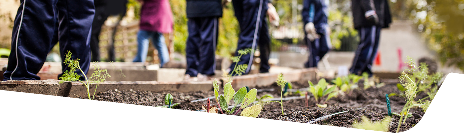 Kids gardening in Virginia